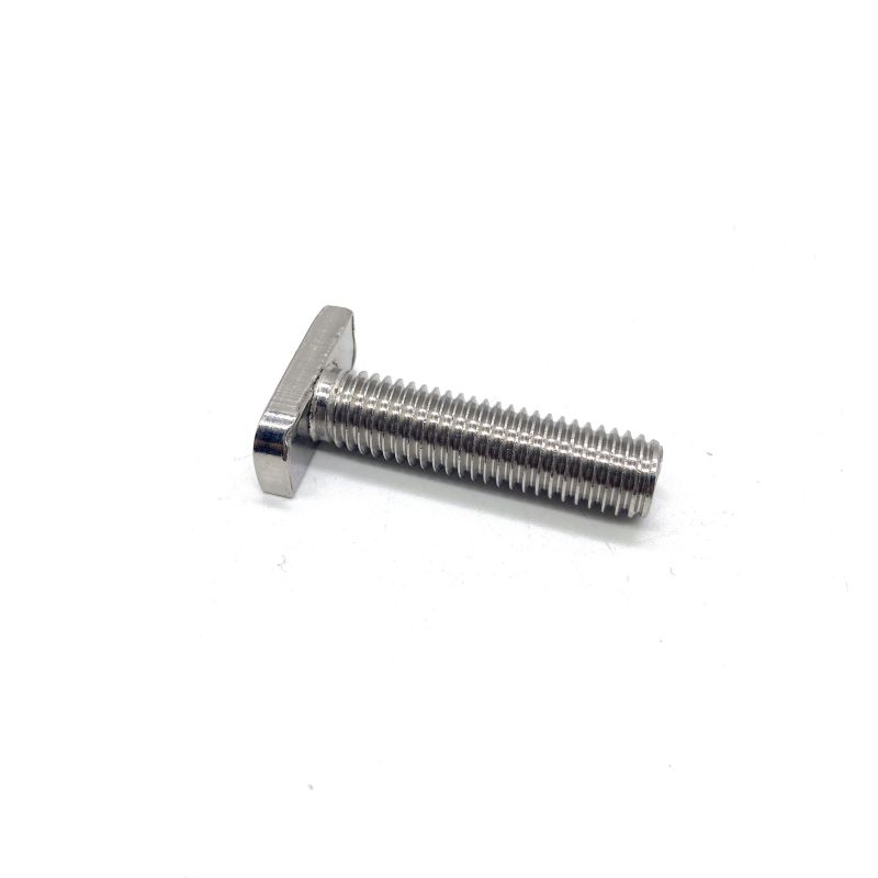 Bolts Lan Fasteners Stainless Steel T Kepala Bolt karo Nut