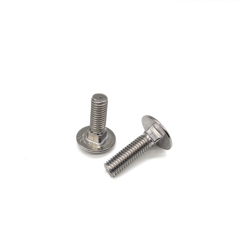 Stainless Steel Bolt karo Square Neck DIN603 M10 M12 Carriage Bolt